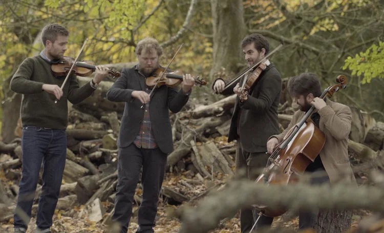 Kvartett i skogen